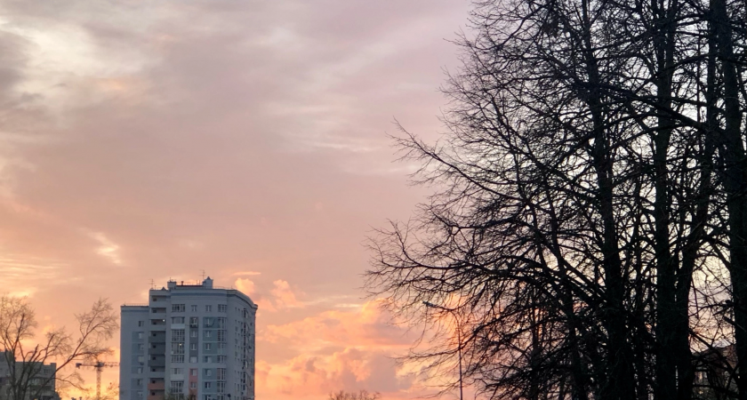 Необычная погоня: нижегородец преследовал вора, выпрыгнув из окна своей квартиры