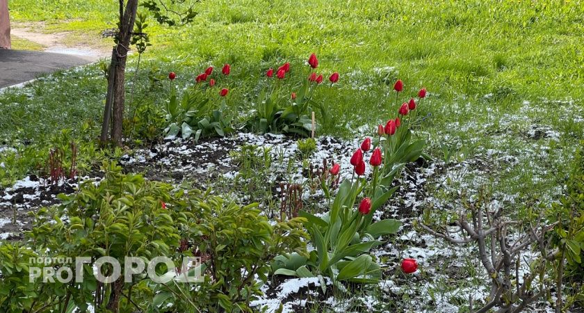МЧС предупредило нижегородцев о заморозках