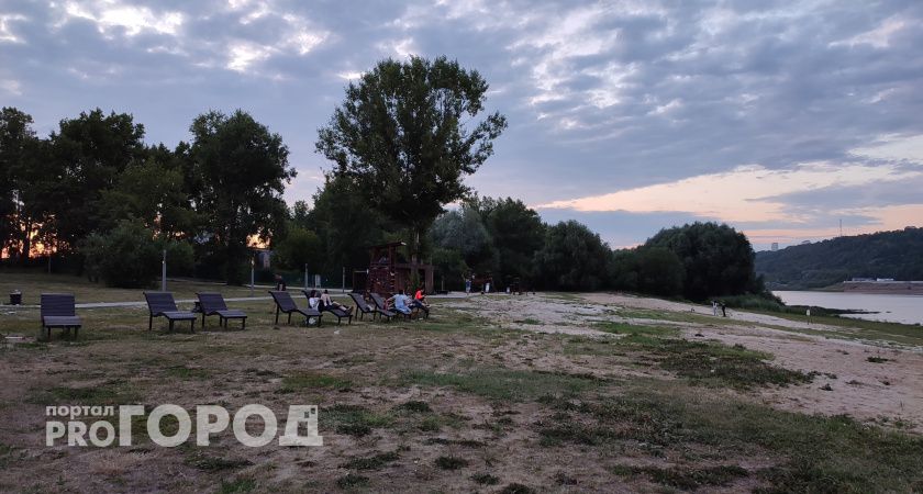 Этот запах действует на клещей как виагра: они запрыгнут на вас моментально