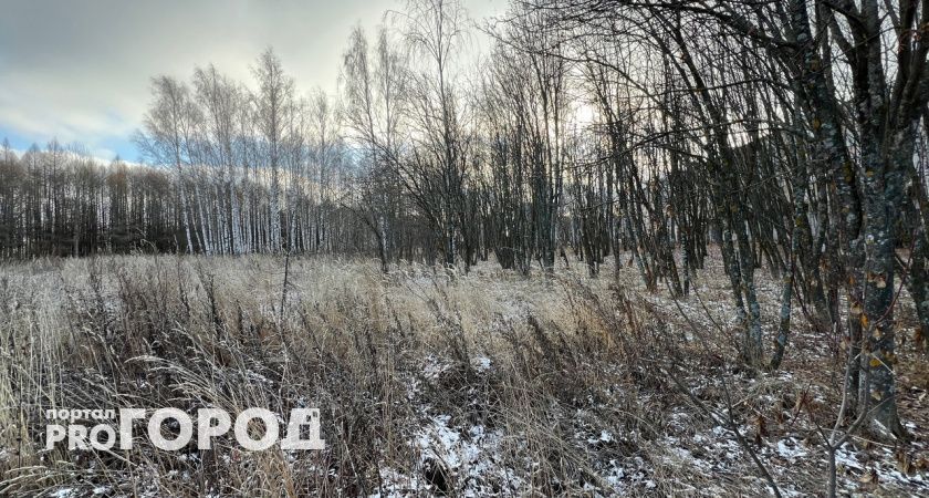 МЧС выпустило срочное предупреждение о заморозках для нижегородцев