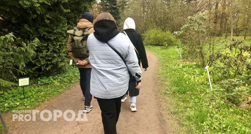 Мошенники обманули нижегородцев на 90 миллионов рублей за майские праздники