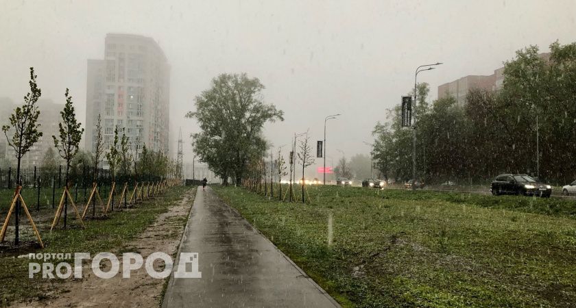 Заморозки до -1 нагрянут в Нижегородскую область под конец недели 