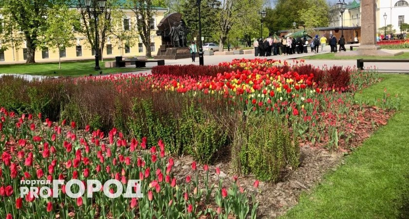 Фото к статье: Наконец-то тепло: выходные порадуют нижегородцев солнечной погодой 