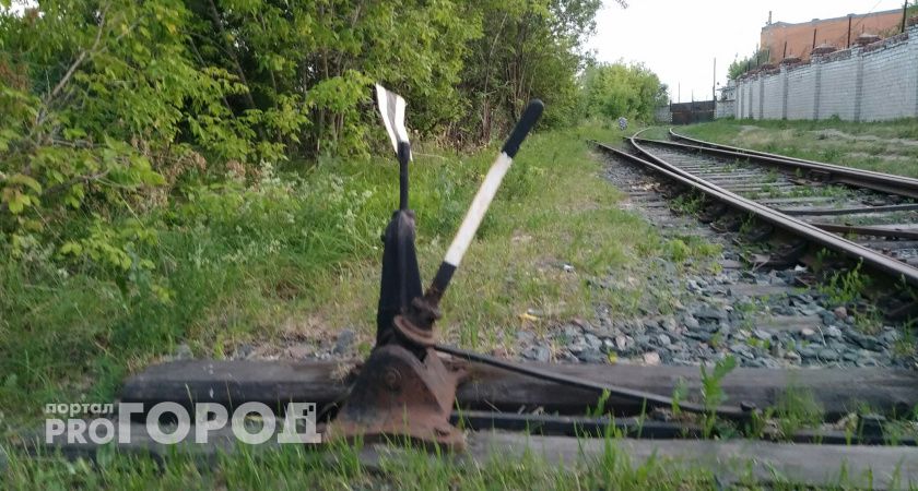 В Шатковском районе грузовой поезд насмерть сбил подростка