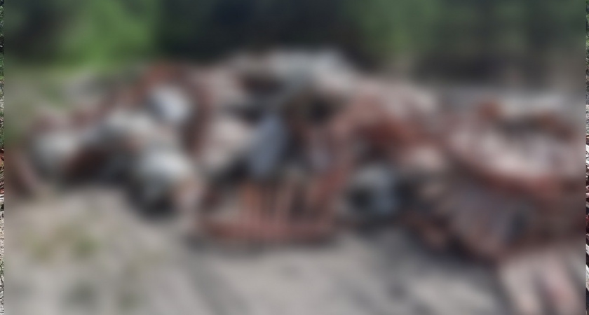 Нижегородцы обнаружили на окраине города свалку из костей