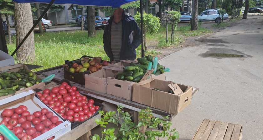 В Нижнем Новгороде назвали самые проблемные места с уличными торговцами