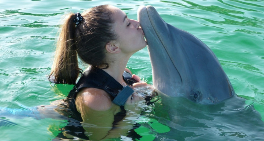 Секретное место на Черном море: рай для любителей дельфинов и уединения