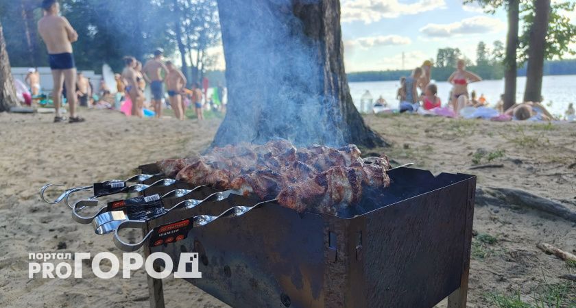 Как отдохнуть летом без штрафов: полное руководство для дачников и любителей природы