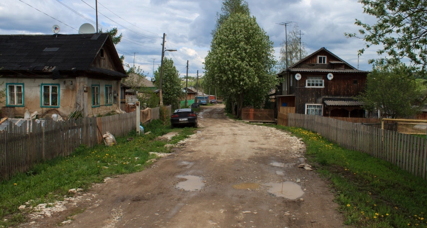 Фото к статье: Скрытая угроза: самый вредный овощ, который вы выращиваете у себя дома