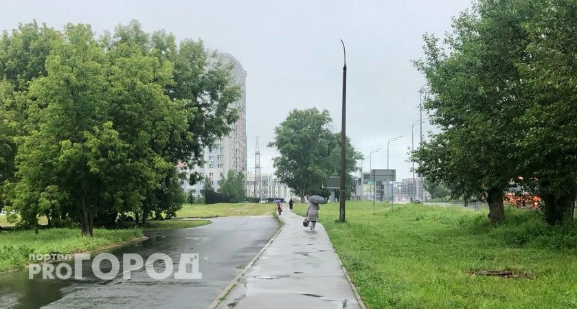 Фото к статье: В последний рабочий день недели в Нижнем Новгороде весь день будет идти дождь 