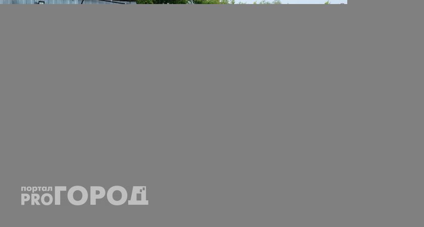 В Нижегородской области нашли новые случаи бешенства у домашних животных