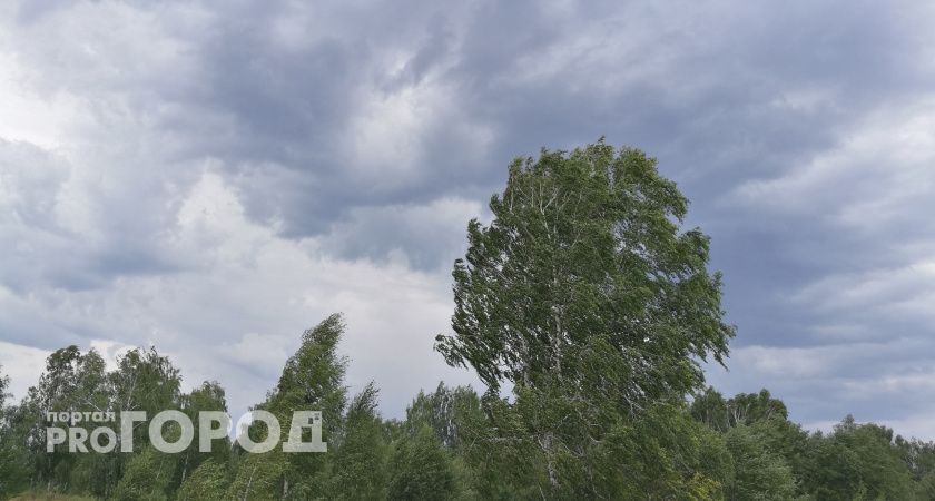 После грозы в Нижегородской области без света остались более 2000 домов