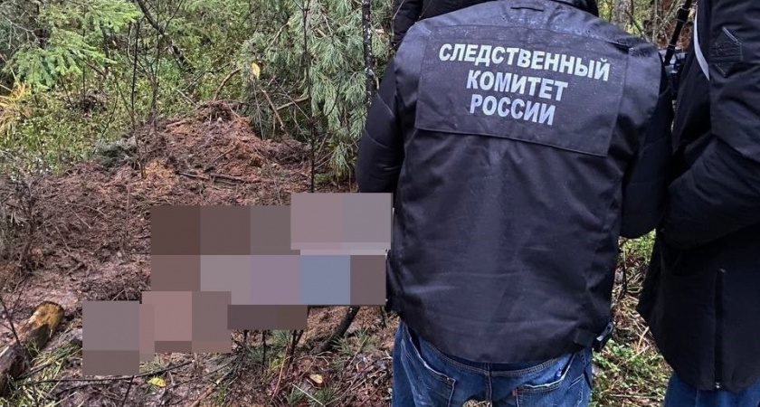 Мертвую женщину нашли в лесу в Володарском районе: убийце вынесли приговор 