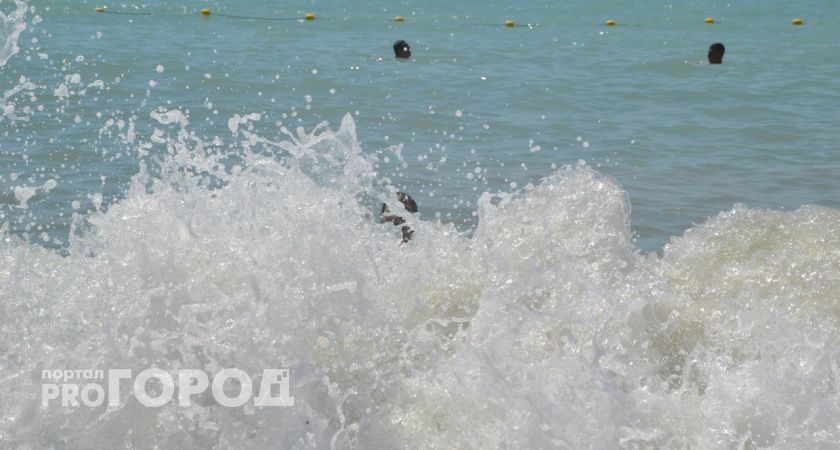 Одни дельфины и нет толпы туристов: секретное место на Черном море удивит вас