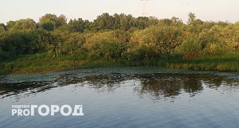 У жителя Нижегородской области изъяли часть берега Волги