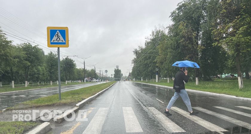 +7 и грозы: в Нижегородской области ожидается не летняя погода завтра