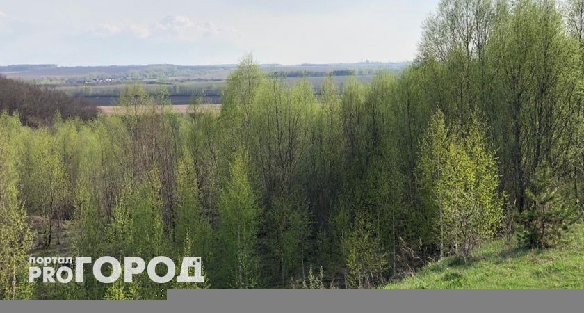 В Нижегородской области установили особый режим опасности