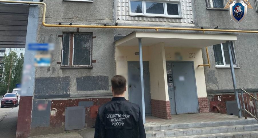 Стали известны новые данные о гибели ребенка, выпавшего из окна в Сормово: СК начал расследование