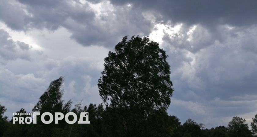 34-градусная жара и тропическая гроза: погода в Нижегородской области на завтра заставит напрячься