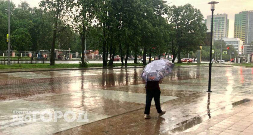 Сумасшедшая жара пойдет на убыль: в Нижегородской области ожидается снижение температуры