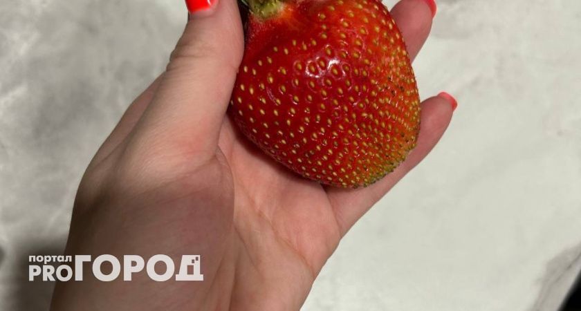 Клубника величиной с ладонь. Эксперты не разглашают этот подкормку: всего 2 ложки на 10 литров