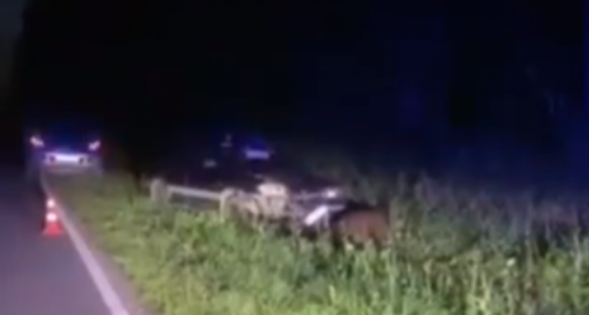 35-летний водитель ВАЗа пострадал в столкновении с лосем под Саровом