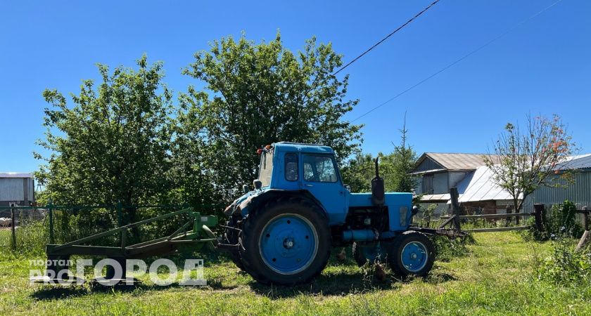 Тракторист скончался после укуса шершня в Выксунском районе