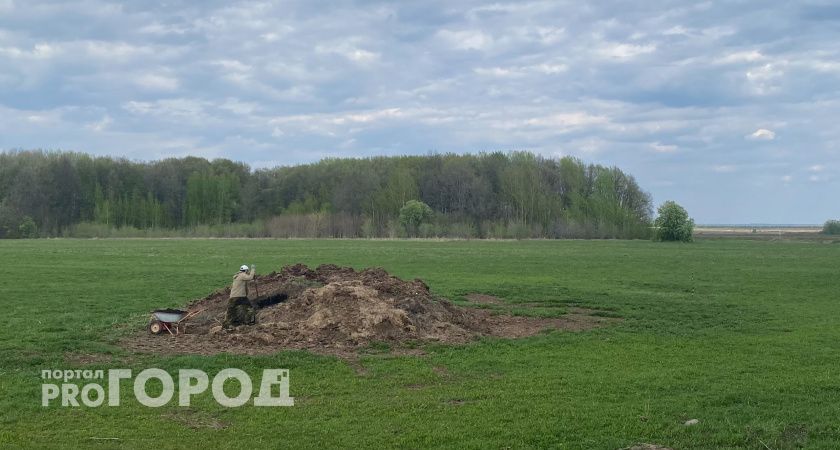 Опасное вещество, которое вызывает рак, найдено в почве Нижегородской области