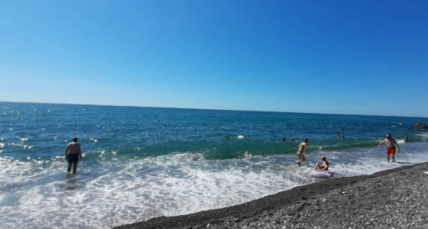 Россияне покидают курорты юга: фекалии и тысячи медуз захватили морское побережье