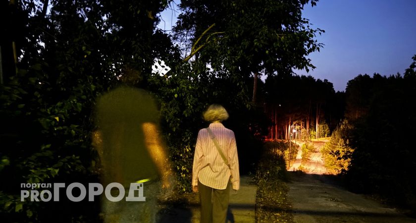 СК России взял на контроль дело о беременной нижегородке, которую преследует пенсионер