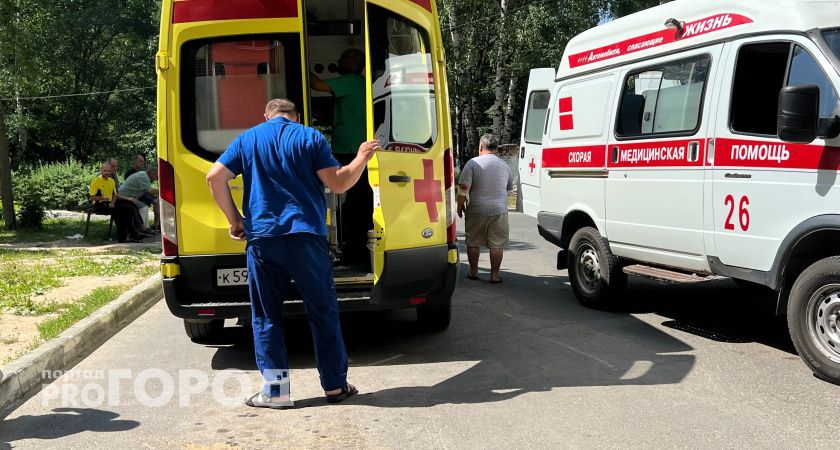 В Нижнем Новгороде собака покусала врача-педиатра, который приехал на вызов