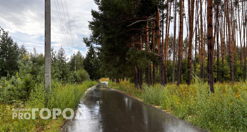 Вместо пляжного зонтика обычный: в Нижегородской области ожидается пасмурный выходной