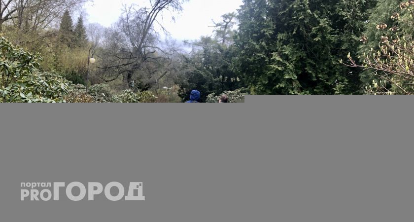 Готовьте куртки: в Нижегородской области похолодает до +9