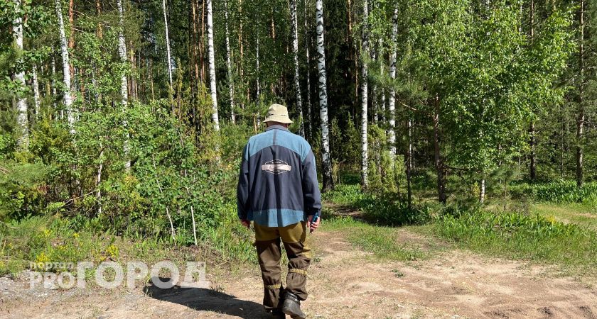 В одном из районов Нижегородской области ограничили посещение лесов