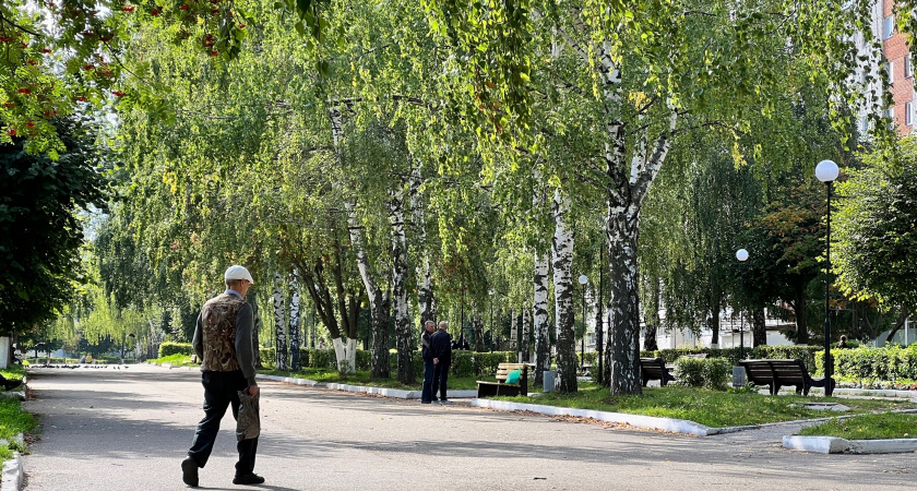 Пенсионеров ждет приятный подарок уже с 6 сентября: новая льгота, для которой нужен только паспорт