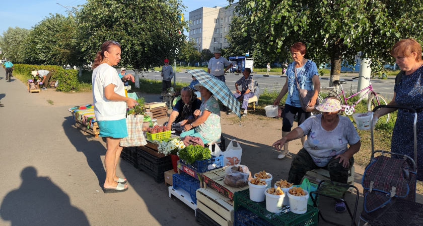 "Готовьте носовые платки": пенсионерам старше 50 лет готовят подлянку с 8 сентября 