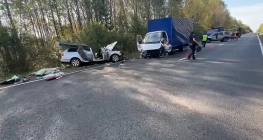 Смертельное столкновение на нижегородской трассе: двое погибших в ДТП