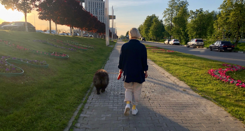 Бабье лето в разгаре: Нижний Новгород ждет солнечный понедельник