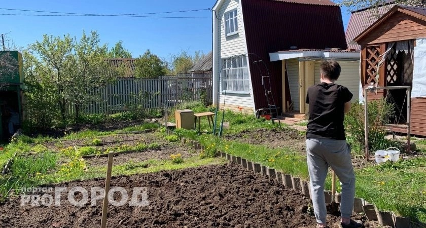 Хватит надрываться на грядках осенью: опытные дачники со стажем дали дельный совет - сэкономите время и силы