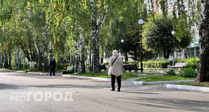 Жительница Богородска лишилась почти 100 тысяч, пытаясь разобраться с пенсией