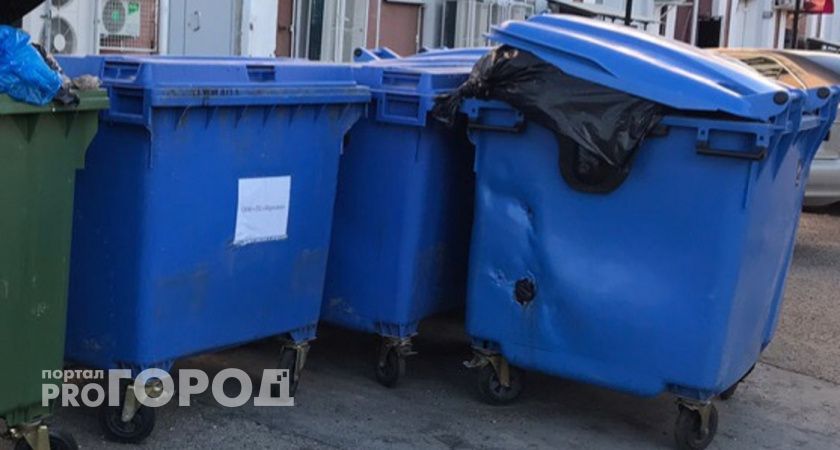 Контейнеры для раздельного сбора мусора появятся на одной из самых популярных улиц Нижнего Новгорода