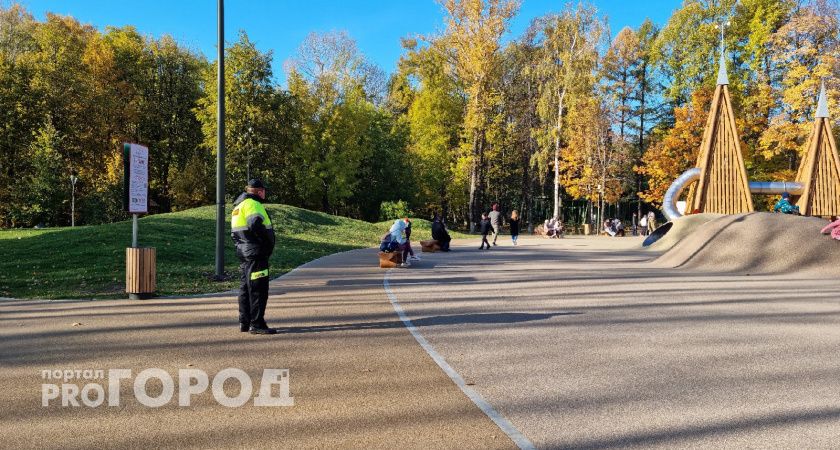 Один из парков Нижнего Новгорода закроют на обработку от клещей