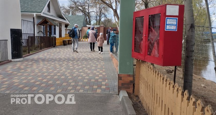 Некоторых нижегородцев бесплатно пустят полюбоваться на животных в зоопарке