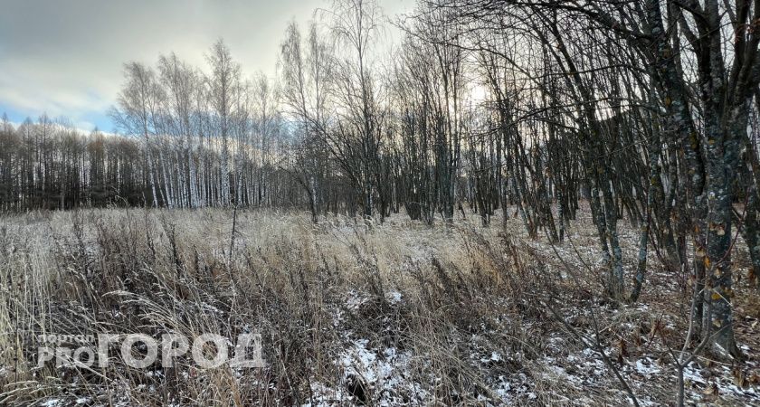 Нижегородцев предупредили о заморозках