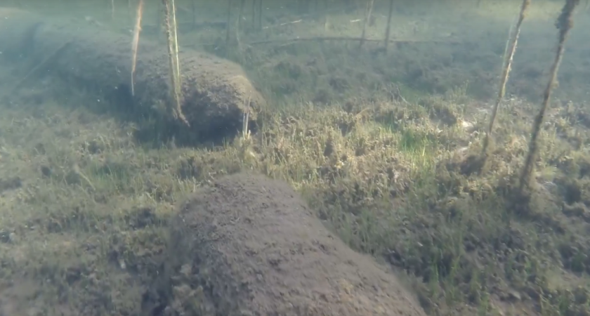 Главные новости за 22 сентября в Нижнем Новгороде: перекроют дорогу из-за ремонта обрушился фасад пятиэтажки и другие