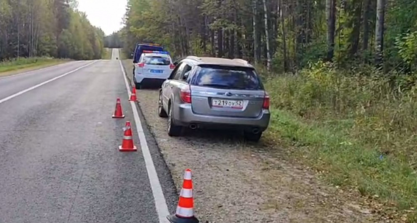 Иномарка столкнулась с лосем в Краснобаковском районе