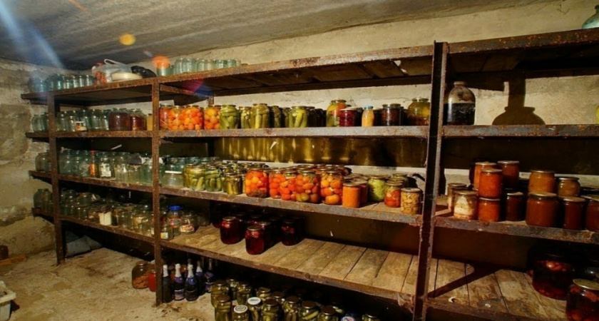 Лотки от яиц прячу зимой в погребе — и счастье переполняет: используются не для урожая — эффект бесценный