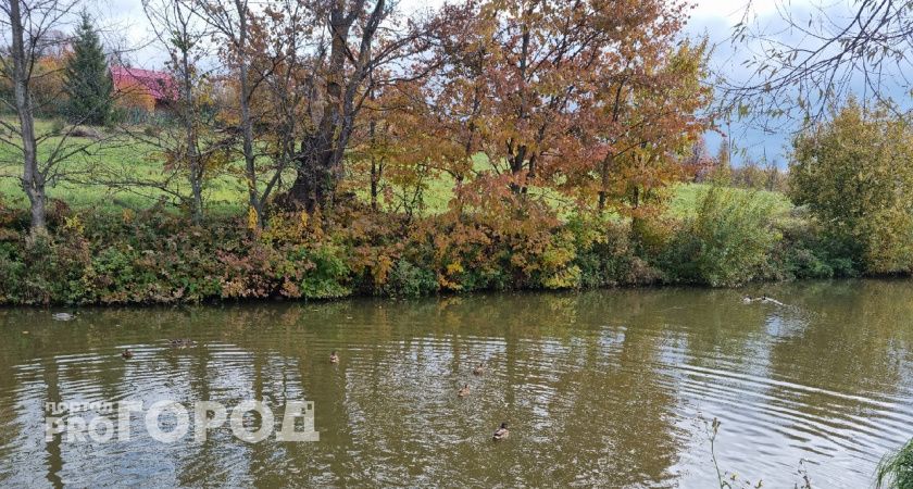 Тело пенсионера обнаружено в воде в Большемурашкинском районе