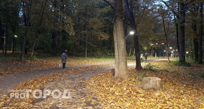 В Нижегородской области похолодает до -4: прогноз погоды на завтра