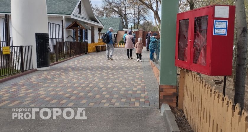 Прогулки по зоопарку станут короче: нижегородцы больше не смогут смотреть на животных сколько хотят